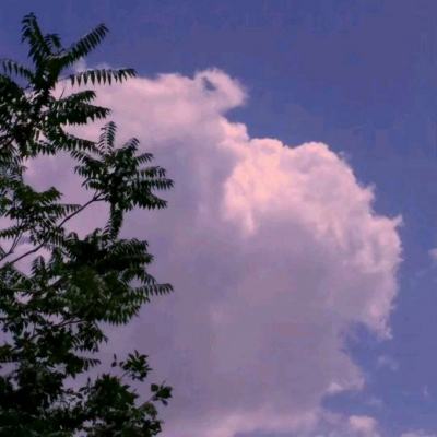 365体育官方唯一入口手机app下载